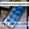 Kamagraoral Jelly viagra1